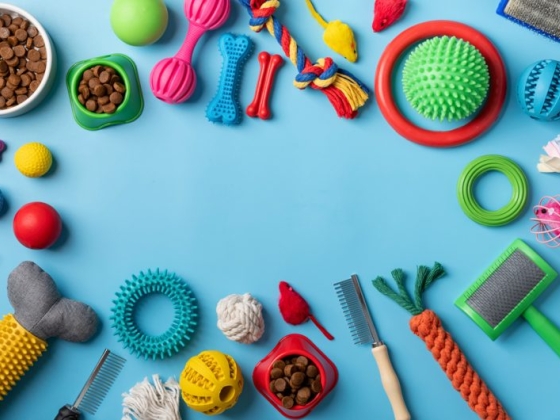 Top 10 Pet Stores In and Around Montreal