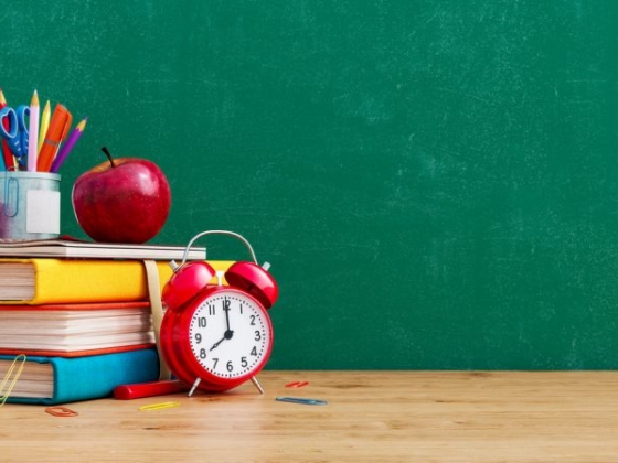 Top 10 Schools In Montreal (Elementary to High School)